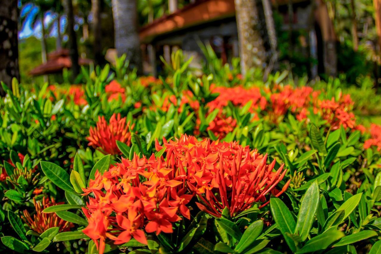 Marea Brava Hotel ハコ エクステリア 写真